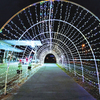 It’s almost time to take a ride and enjoy the Greenbelt in Lights! This year, 12,000 individual lights illuminate the Big Stone Gap Visitor Center light tunnel.  KED MEADE PHOTO